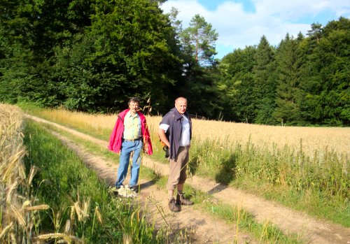 Grünkreuz-Wanderweg