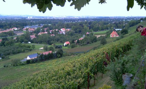 Weinbergkirche